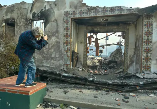 Rebuild LA Schools — Fire Relief Fund