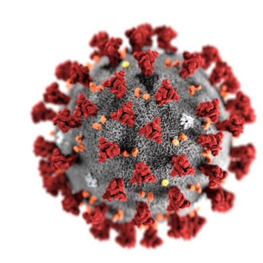 新型コロナウイルス感染症への対応と援助